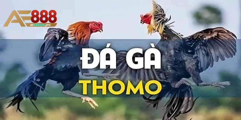 da-ga-thomo-AE888-2 (1)